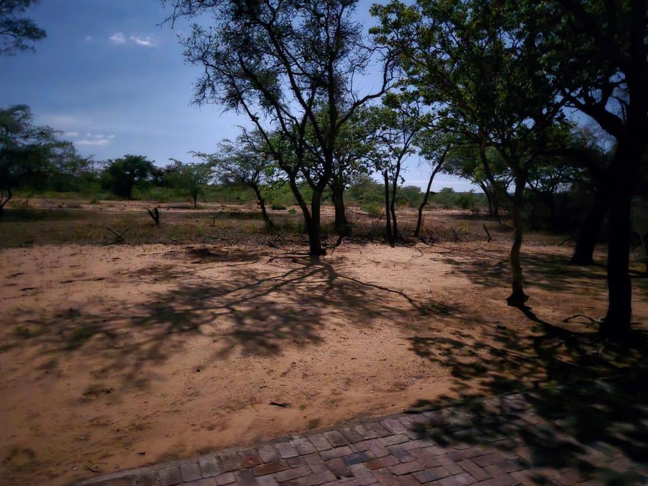Kigeni Safari Lodge & Spa ฟาลวอเทอร์ ภายนอก รูปภาพ