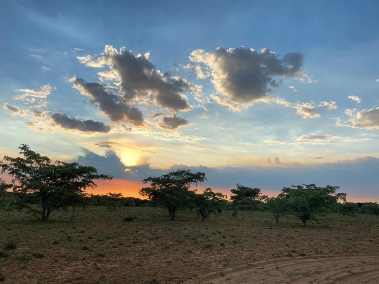 Kigeni Safari Lodge & Spa ฟาลวอเทอร์ ภายนอก รูปภาพ