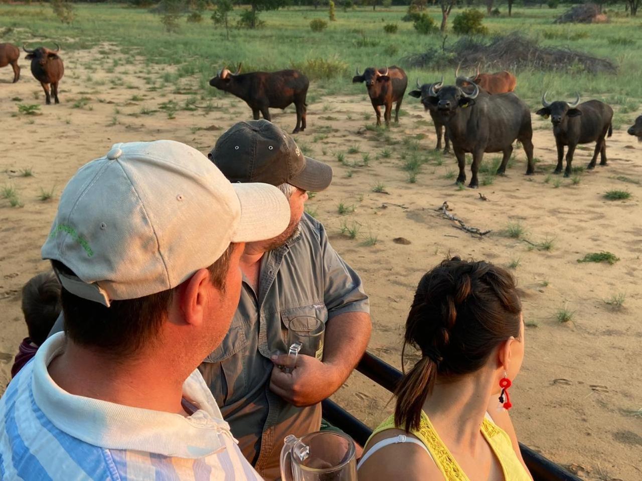 Kigeni Safari Lodge & Spa ฟาลวอเทอร์ ภายนอก รูปภาพ