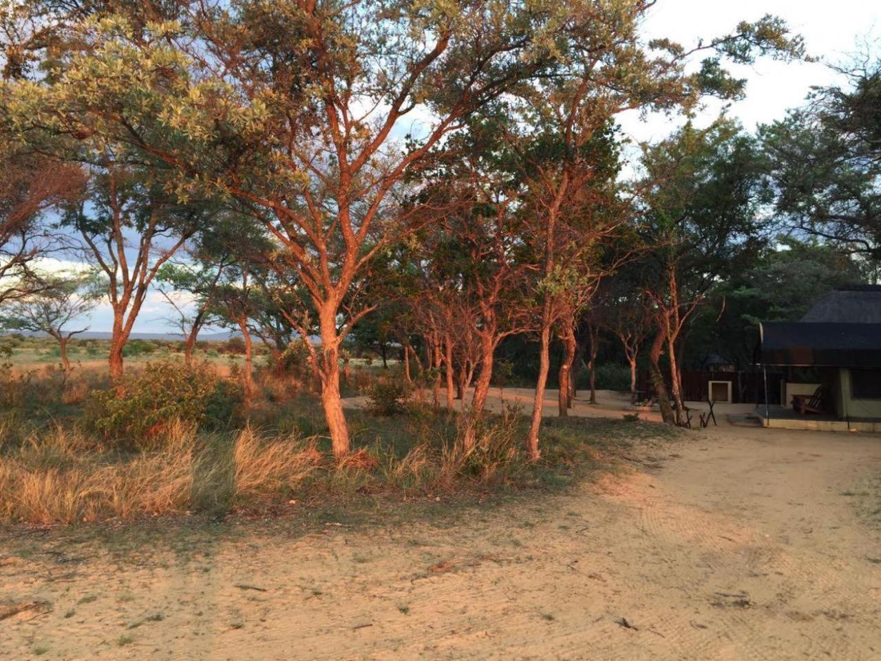 Kigeni Safari Lodge & Spa ฟาลวอเทอร์ ภายนอก รูปภาพ