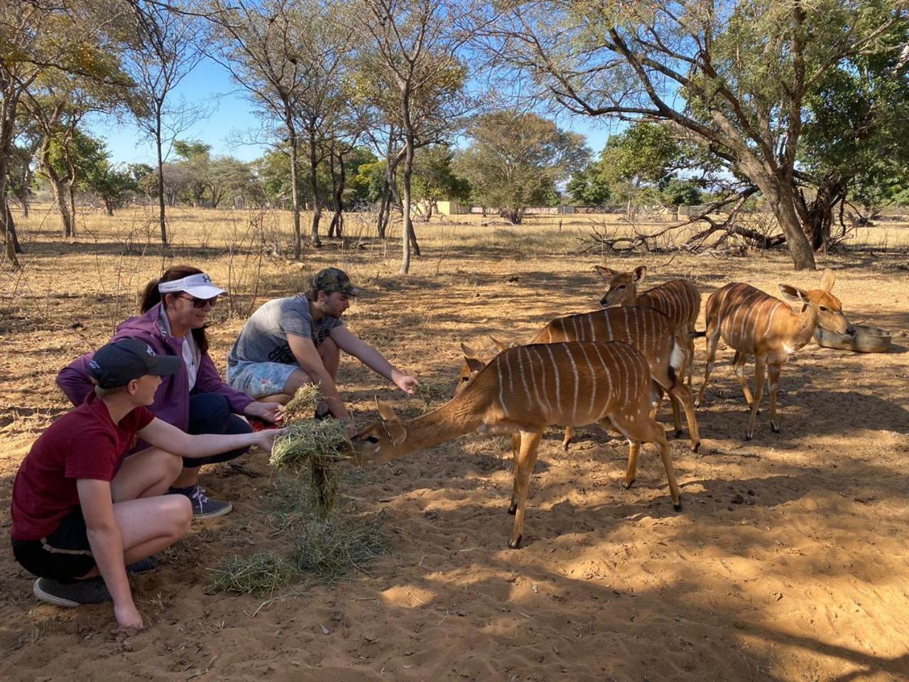 Kigeni Safari Lodge & Spa ฟาลวอเทอร์ ภายนอก รูปภาพ
