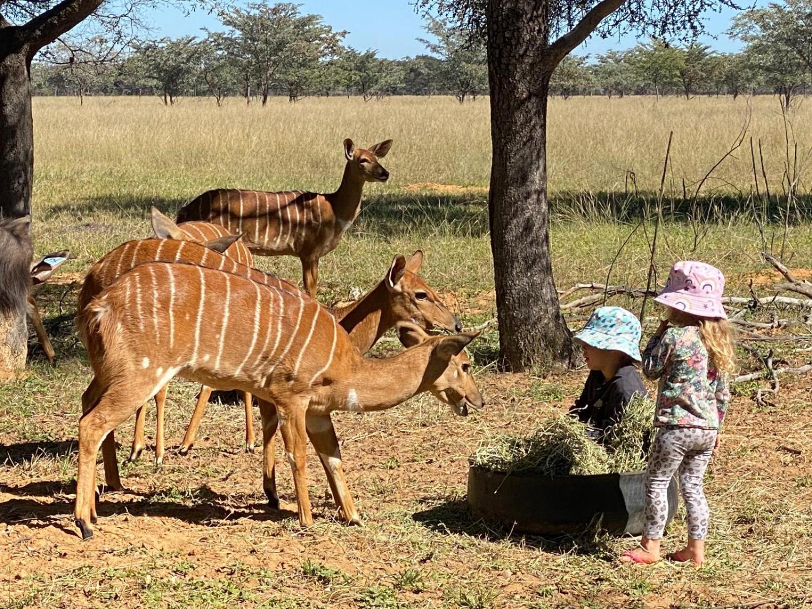 Kigeni Safari Lodge & Spa ฟาลวอเทอร์ ภายนอก รูปภาพ